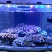 اکواریوم تمام مجهز