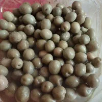 زیتون با هسته و بی هسته خوشمزه