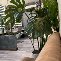 دعوت به همکاری  (اصلاح و ابروکار) در سالن زیبایی|استخدام درمانی، زیبایی، بهداشتی|اندیشه, اندیشه فاز ۲|دیوار