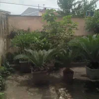 فروش واحد بر اصلی سردار جنگل از املاک ابوالفضل|فروش آپارتمان|لاهیجان, یحی آباد|دیوار