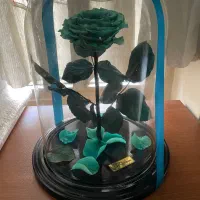 گل رز جاودان