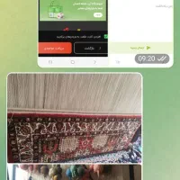 قالی ۱/۵در ۲/۵ دست باف|فرش|فارسان, |دیوار