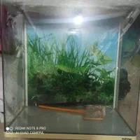 فروش آکواریوم