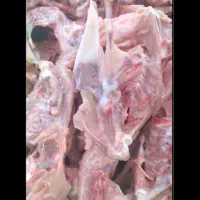 فروش اسکلت ، قلم و ... مرغ|عمدهفروشی|نظرآباد, شهرک صنعتی سپهر|دیوار