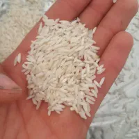 برنج طارم باکیفیت