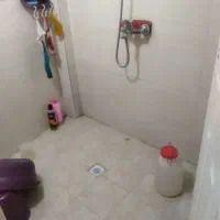 تک واحدی نقلی نوساز میدان کلینی