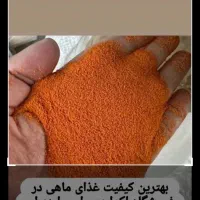 پوزه بوته ای رسید|ماهی|اردبیل, |دیوار