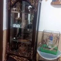 بوفه تمیز ونو