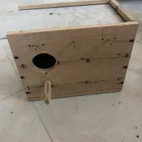لانه پرنده