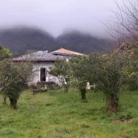 رهن و اجاره یک واحد خانه 60 متری با 600متر زمین