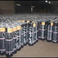 ایزوگام پلیمری با ده سال ضمانت|خدمات پیشه و مهارت|کرمان, |دیوار