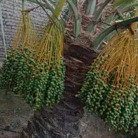 بستن ب این زیبای