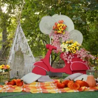 باغ عکاسی ثریا فضایی بینظیر