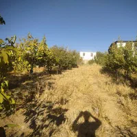 فروش باغ ویلا|فروش خانه و ویلا|نورآباد, |دیوار