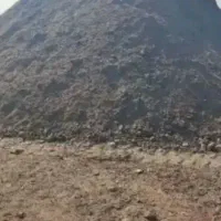 کود حیوانی گوسفندی