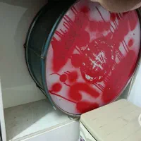 تبل بزرگ سالم