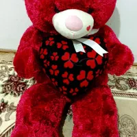 خرس بزرگ (نو )