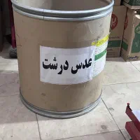 سطل حبوبات
