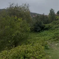 فروش زمین ۲۵۰۰ متر در سلیم شیخ سالاردره