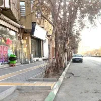 فروش ویلایی حاشیه بلوار عبدالمطلب در مشهد|فروش خانه و ویلا|مشهد, شهید مطهری|دیوار