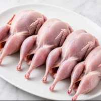 بلدرچین تازه و تمیز شده