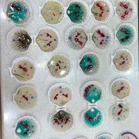 حوض ماهی رزینی هفت سین