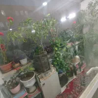 ۱۰۵متر۲خواب قولنامه ای پارکینگ دار بوستانها|فروش آپارتمان|باغستان, |دیوار