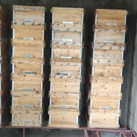 قاب کندو زنبورعسل