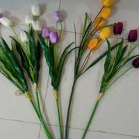 فروش شاخه گل
