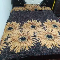 ویترین دراورتخت خاب|تخت و سرویس خواب|فولادشهر, B4|دیوار