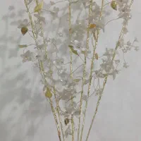 گل عروس تزیینی