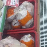 مرغ گرم تازه