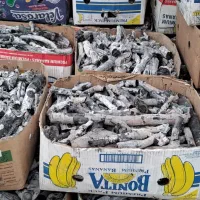 زغال پسته قلم زغال کبابی