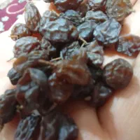 کشمش تر و تمیز