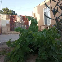 اجاره روزانه خونه باغ|اجارهٔ کوتاهمدت ویلا و باغ|کاشان, خزاق|دیوار