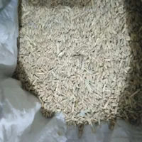 گندم دیم بذری|خوردنی و آشامیدنی|داران, |دیوار