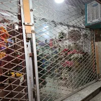 کرکره|مصالح و تجهیزات ساختمان|زابل, |دیوار