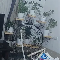 استندگل فلزی بفروش میرسد