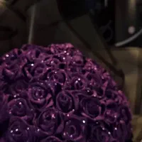 دسته گل پروانه ای و ربانی|صنایع دستی و سایر لوازم تزئینی|شیراز, دباغ خانه|دیوار