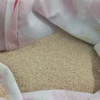 بذر توم|گل و گیاه طبیعی|کوهدشت, |دیوار