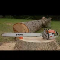 چوب بری و خرید چوب