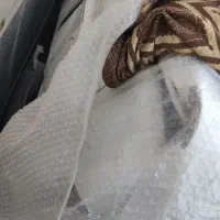 پراید ۹۵ دوگانه کارخانه. تصادفی|خودرو سواری و وانت|شیراز, مسلم|دیوار