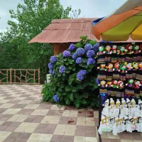 متقاضی هم خونه خانم ۲۵ تا ۳۰ ساله در رشت
