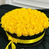 گل  پینترسی|گل مصنوعی|کرمانشاه, |دیوار