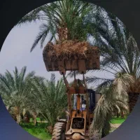 خدمات عمرانی