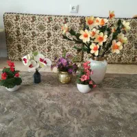 استند|گل و گیاه طبیعی|سنندج, |دیوار