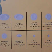 سرویس ۲۸ پارجه چینی زرین رادیانس سفید|ظروف سرو و پذیرایی|قم, باجک یک|دیوار