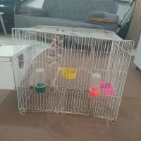 قفس پرنده بزرگ با لونه اش ۳۰۰همش باهم|لوازم جانبی حیوانات|مشهد, انقلاب|دیوار