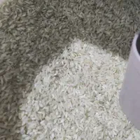 برنج چمپا یاسوج|عمدهفروشی|بندر گناوه, |دیوار