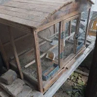 قفس چوبی|لوازم جانبی حیوانات|کرج, شهرک سهرابیه|دیوار